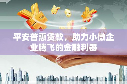 天等平安普惠贷款，助力小微企业腾飞的金融利器