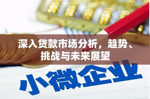 天等深入贷款市场分析，趋势、挑战与未来展望