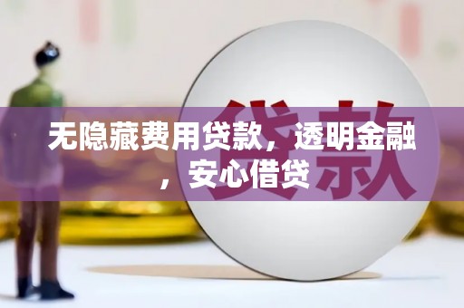 天等无隐藏费用贷款，透明金融，安心借贷