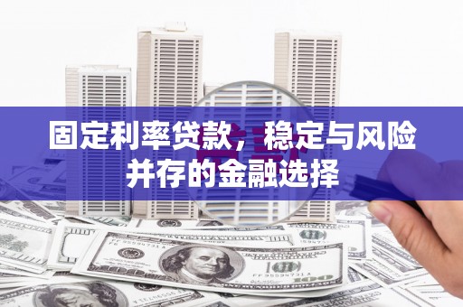 天等固定利率贷款，稳定与风险并存的金融选择