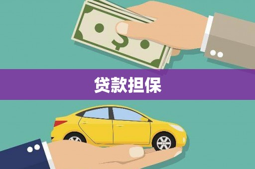天等贷款担保
