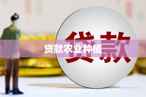 天等贷款农业种植