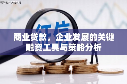 天等商业贷款，企业发展的关键融资工具与策略分析