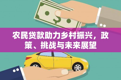 天等农民贷款助力乡村振兴，政策、挑战与未来展望
