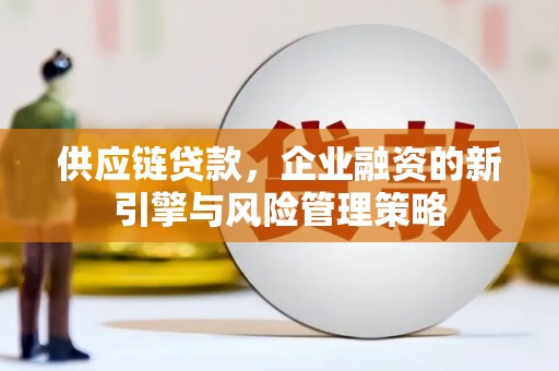 天等供应链贷款，企业融资的新引擎与风险管理策略