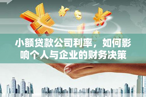 天等小额贷款公司利率，如何影响个人与企业的财务决策