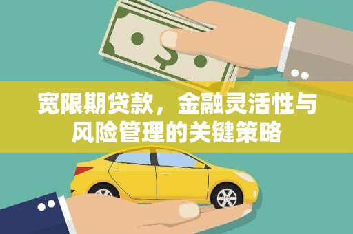 天等宽限期贷款，金融灵活性与风险管理的关键策略