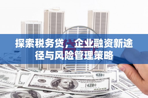 天等探索税务贷，企业融资新途径与风险管理策略