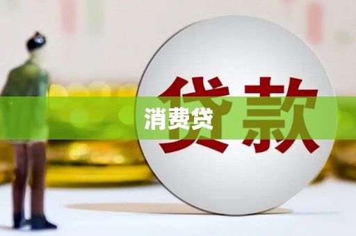 天等消费贷