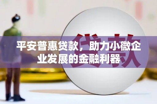天等平安普惠贷款，助力小微企业发展的金融利器