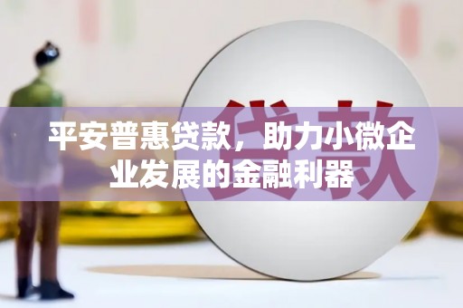 天等平安普惠贷款，助力小微企业发展的金融利器