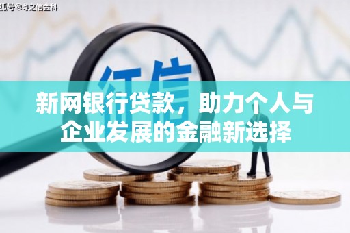 天等新网银行贷款，助力个人与企业发展的金融新选择