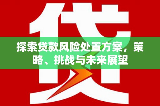 天等探索贷款风险处置方案，策略、挑战与未来展望