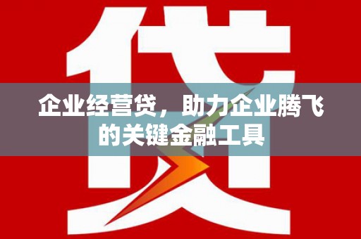 天等企业经营贷，助力企业腾飞的关键金融工具