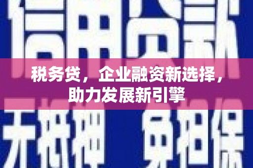 天等税务贷，企业融资新选择，助力发展新引擎