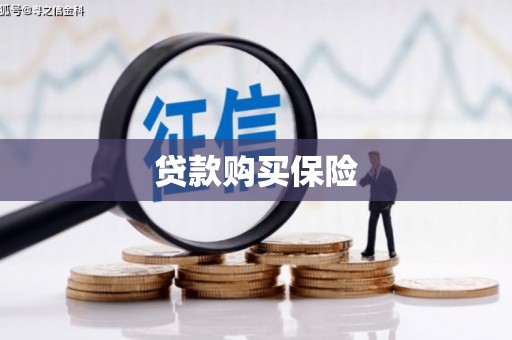 天等贷款购买保险