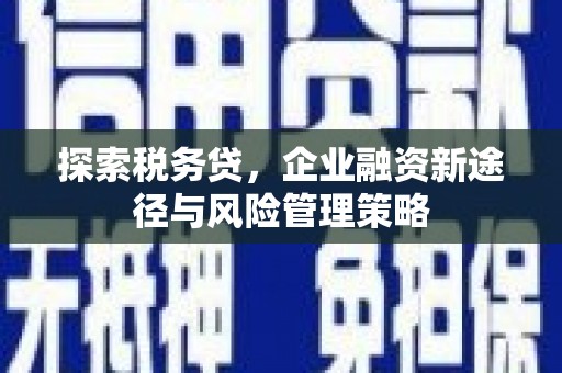天等探索税务贷，企业融资新途径与风险管理策略