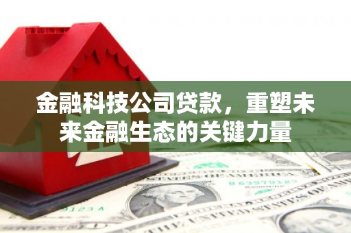 天等金融科技公司贷款，重塑未来金融生态的关键力量