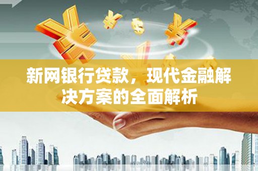 天等新网银行贷款，现代金融解决方案的全面解析