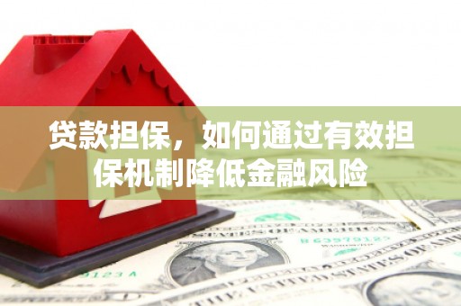 天等贷款担保，如何通过有效担保机制降低金融风险