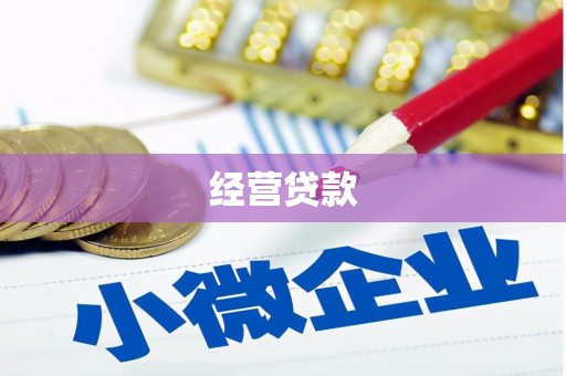 天等经营贷款