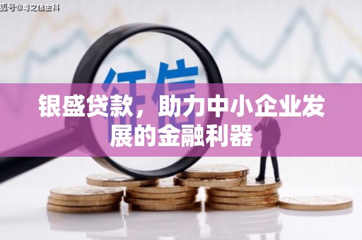 天等银盛贷款，助力中小企业发展的金融利器