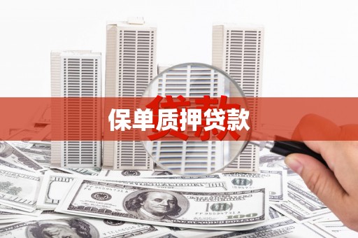 天等保单质押贷款