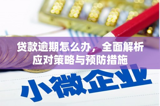 天等贷款逾期怎么办，全面解析应对策略与预防措施