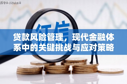 天等贷款风险管理，现代金融体系中的关键挑战与应对策略