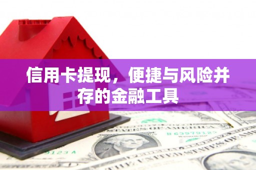 天等信用卡提现，便捷与风险并存的金融工具