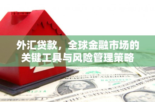 天等外汇贷款，全球金融市场的关键工具与风险管理策略