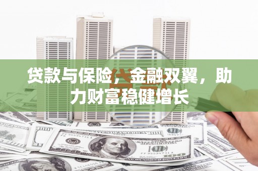 天等贷款与保险，金融双翼，助力财富稳健增长