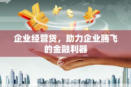 天等企业经营贷，助力企业腾飞的金融利器