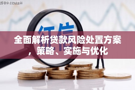 天等全面解析贷款风险处置方案，策略、实施与优化