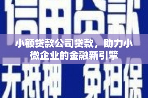 天等小额贷款公司贷款，助力小微企业的金融新引擎