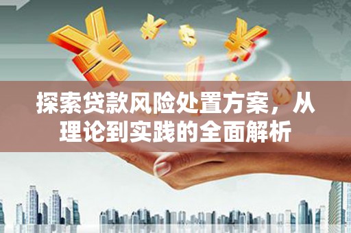 天等探索贷款风险处置方案，从理论到实践的全面解析