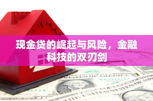 天等现金贷的崛起与风险，金融科技的双刃剑