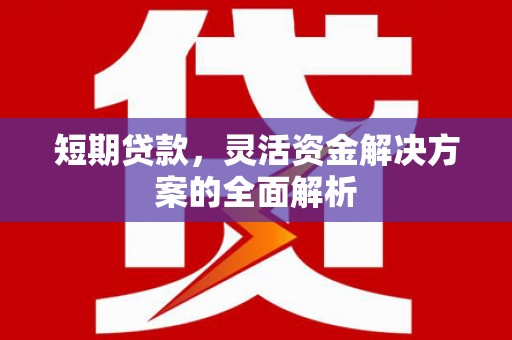 天等短期贷款，灵活资金解决方案的全面解析