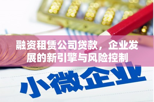 天等融资租赁公司贷款，企业发展的新引擎与风险控制