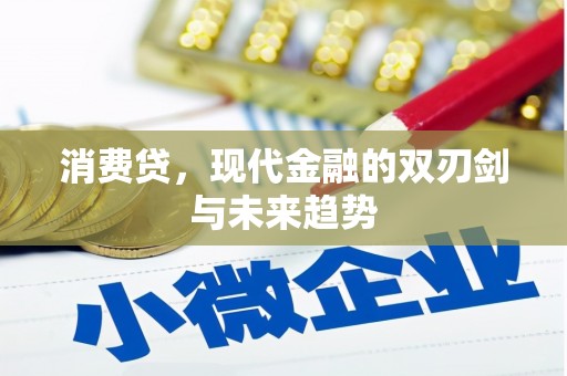 天等消费贷，现代金融的双刃剑与未来趋势
