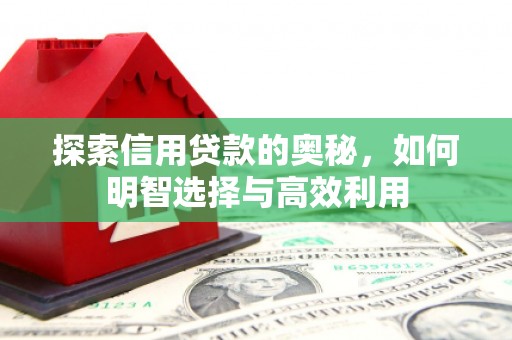天等探索信用贷款的奥秘，如何明智选择与高效利用