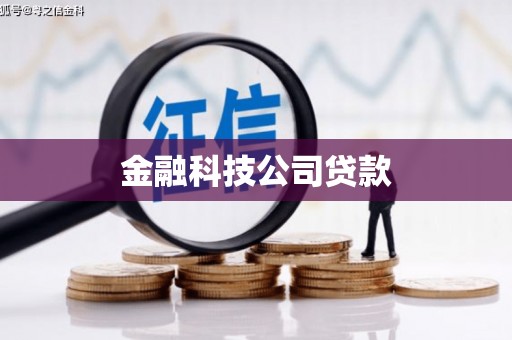 天等金融科技公司贷款