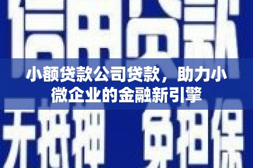天等小额贷款公司贷款，助力小微企业的金融新引擎