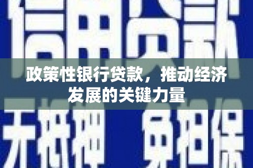天等政策性银行贷款，推动经济发展的关键力量