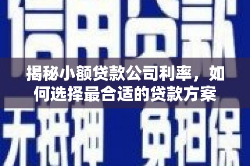 天等揭秘小额贷款公司利率，如何选择最合适的贷款方案