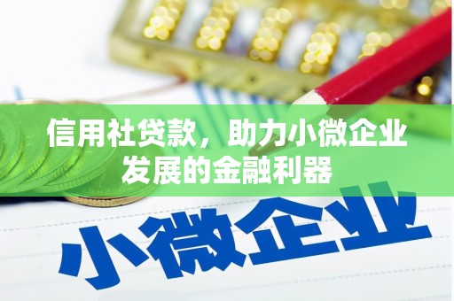 天等信用社贷款，助力小微企业发展的金融利器