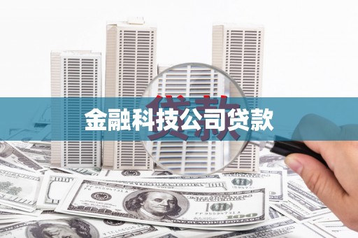 天等金融科技公司贷款