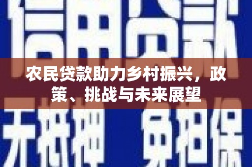 天等农民贷款助力乡村振兴，政策、挑战与未来展望