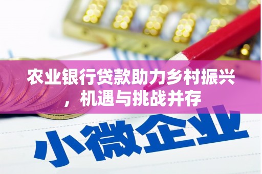 天等农业银行贷款助力乡村振兴，机遇与挑战并存