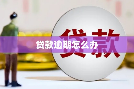 天等贷款逾期怎么办